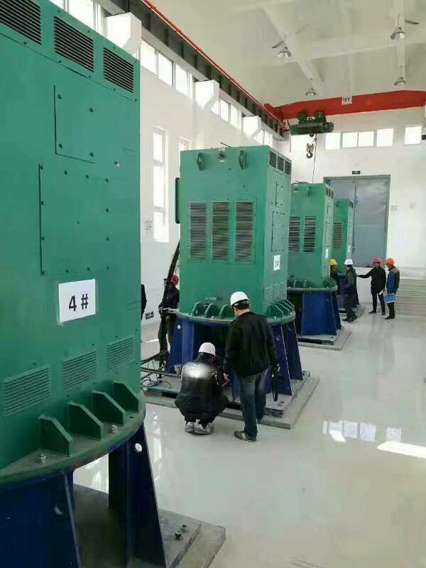 YKK7105-8某污水处理厂使用我厂的立式高压电机安装现场